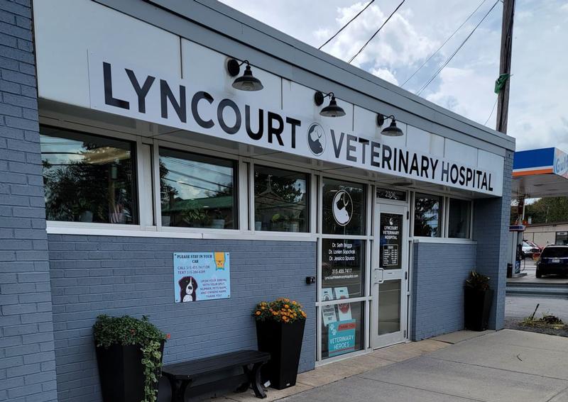 Carousel Slide 8: Lyncourt Veterinary Hospital, Syracuse